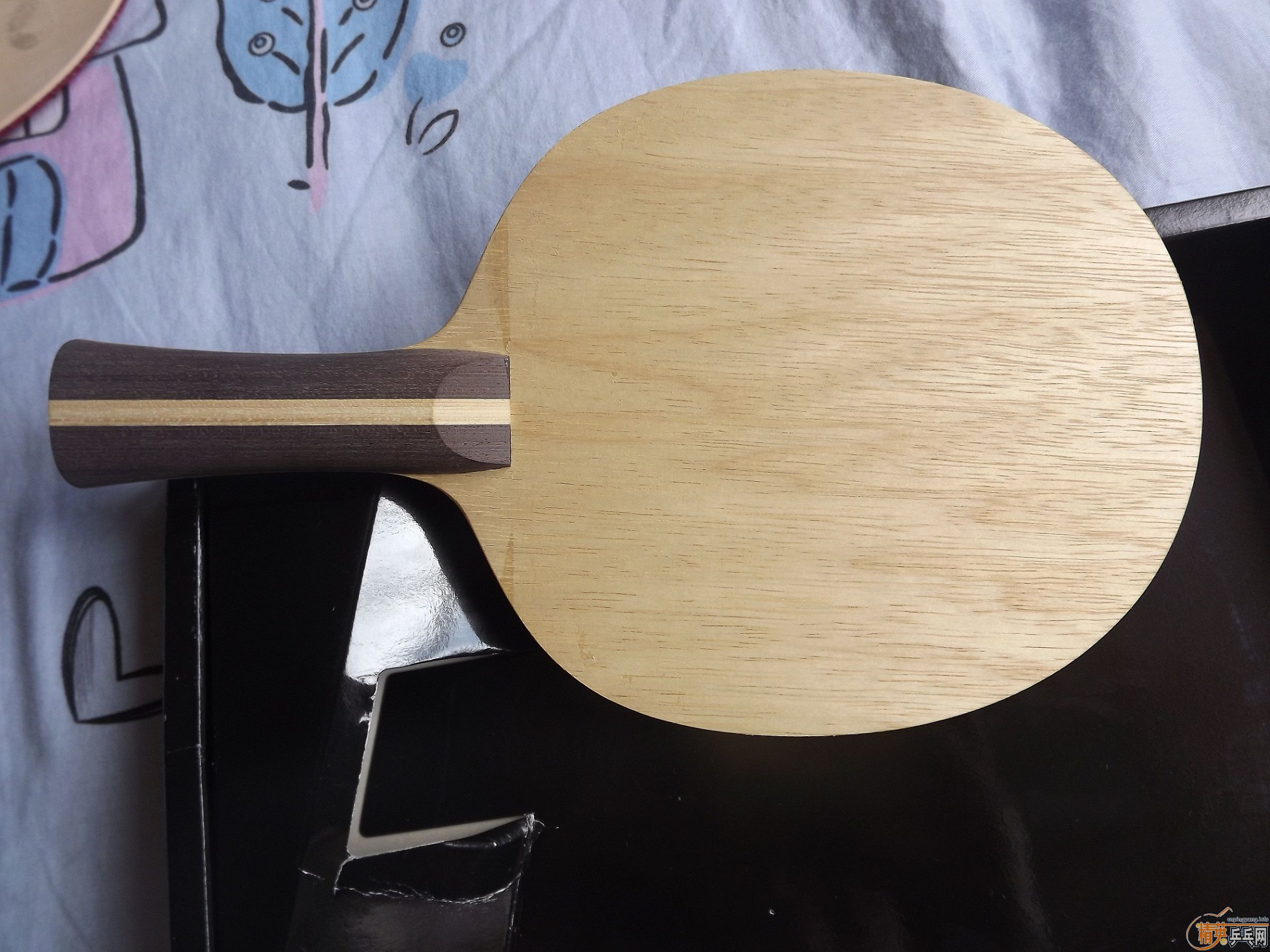 ����ľ������