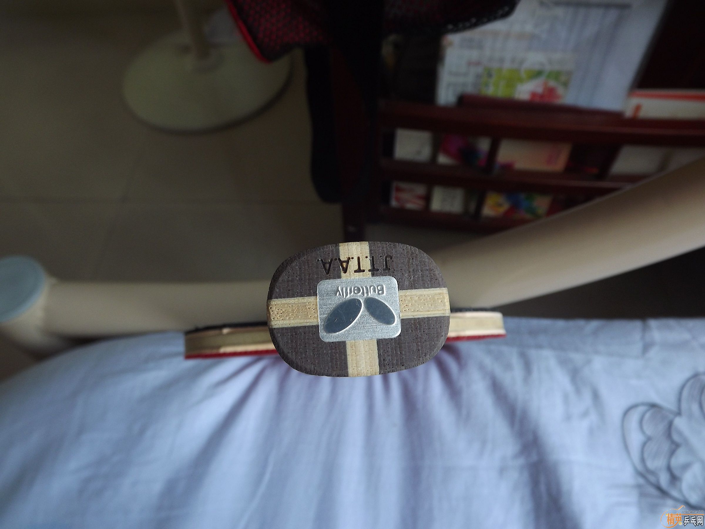 ����ľ������