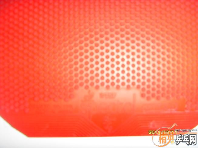 �ձ�TSP����spectol���غ�100Ԫ����