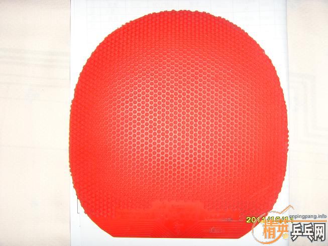 �ձ�TSP����spectol���غ�100Ԫ����