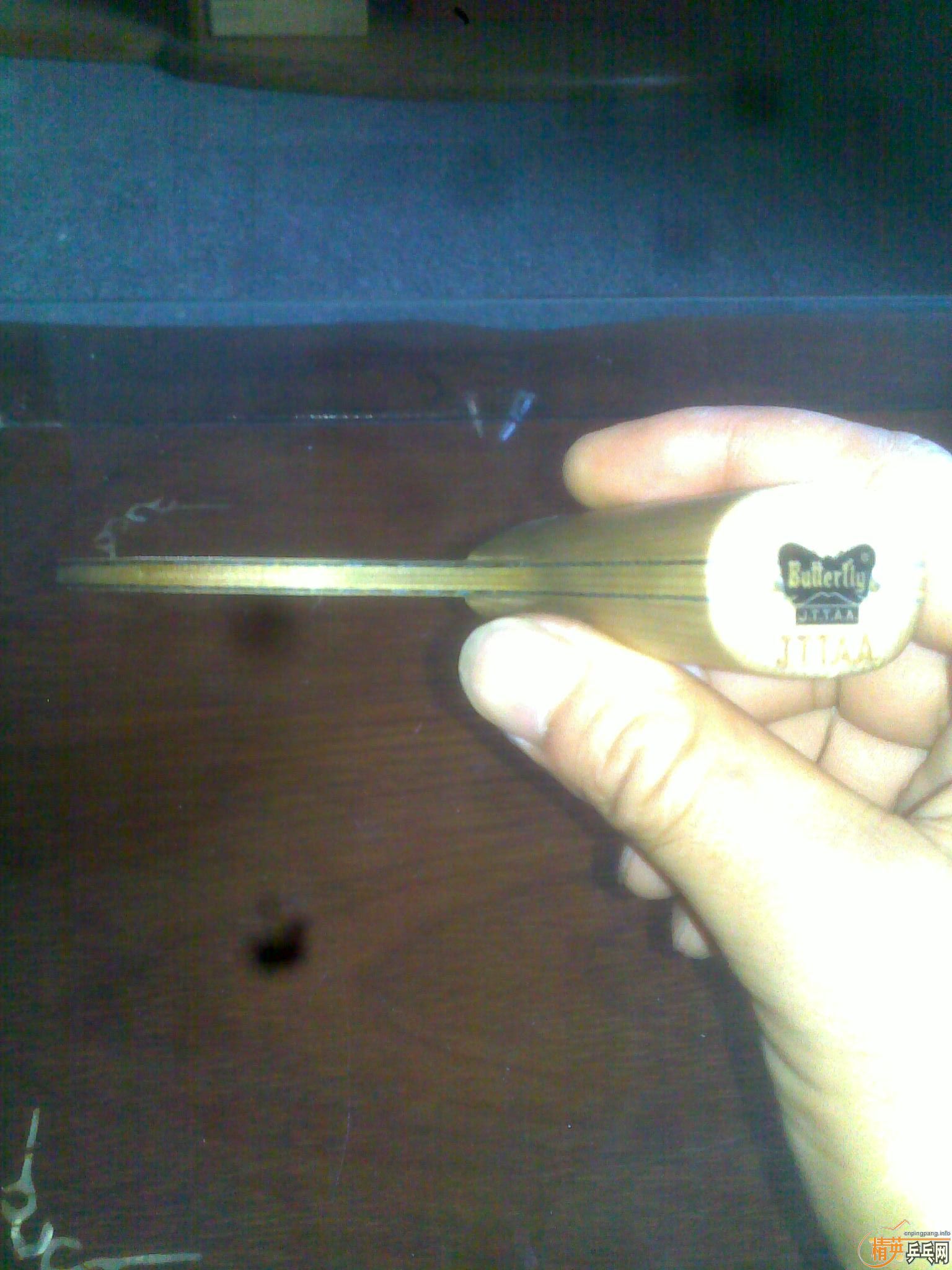 ������������͸߶˰廻QQ799914079