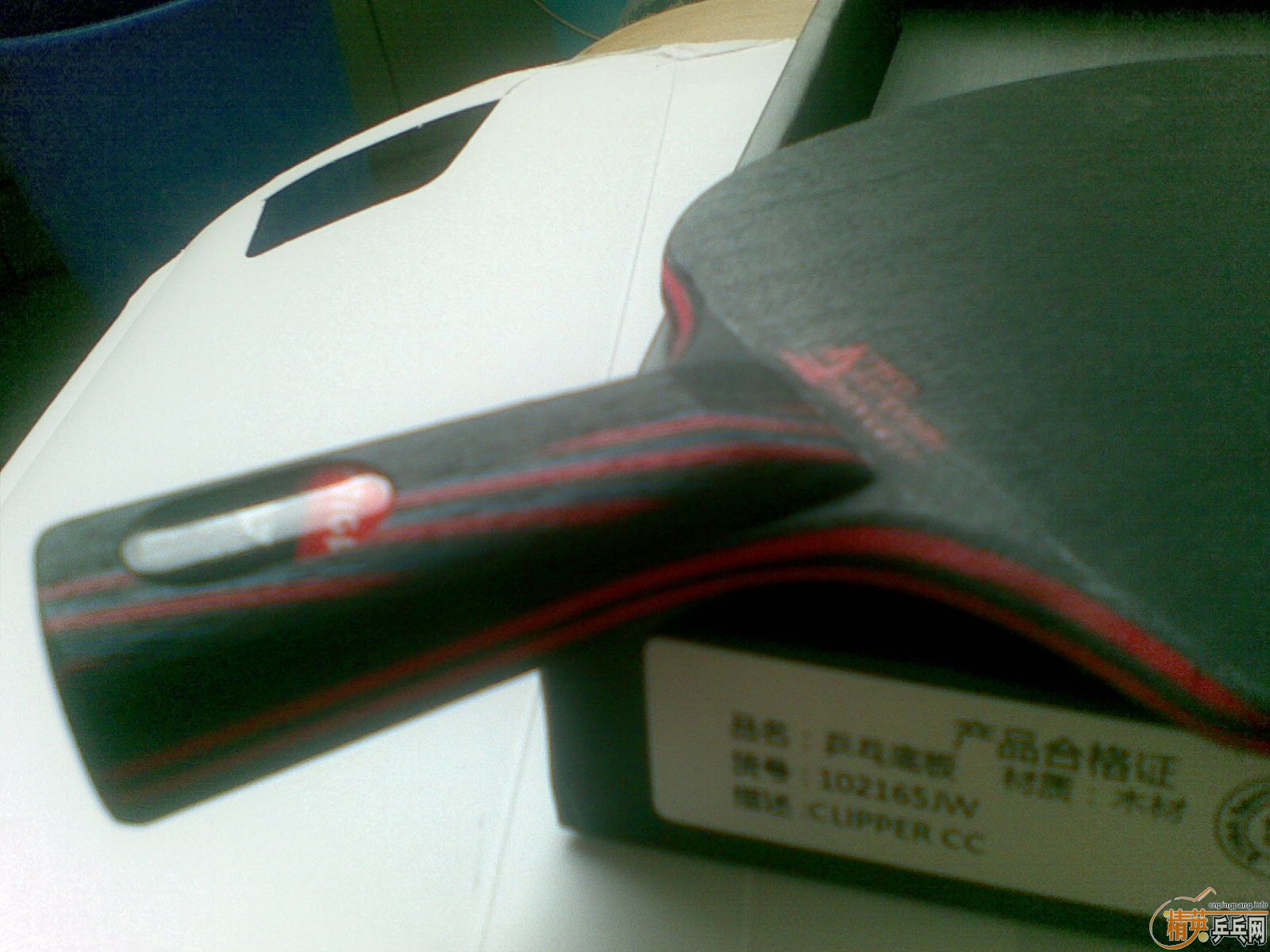 ��������ε�˹�ٿ�