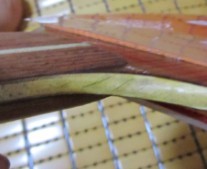 [ԭ��]�����������ǳ��ˡ���ֻ�л�õ��5