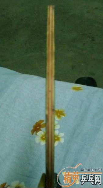 [ԭ��]��һ�����ȵװ壬������