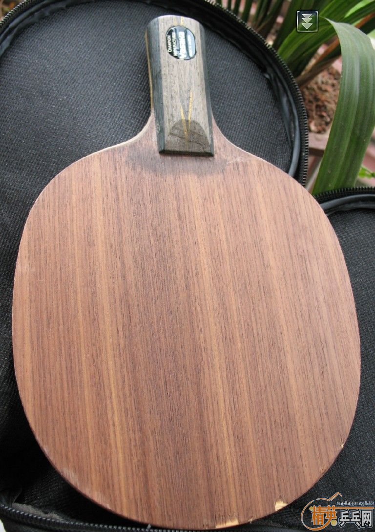 ���������л�--yeo