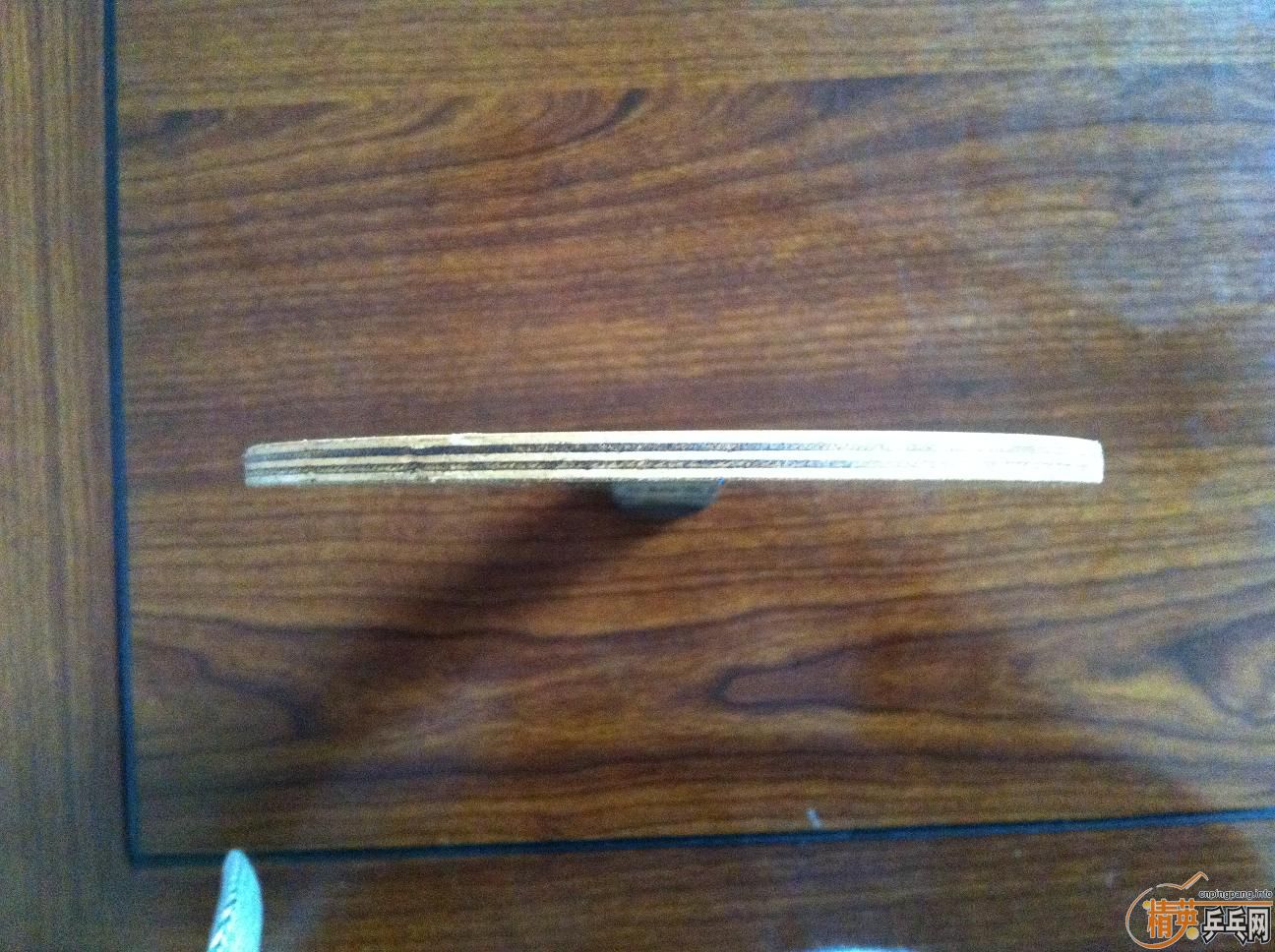 [ԭ��]��С��һֻ������