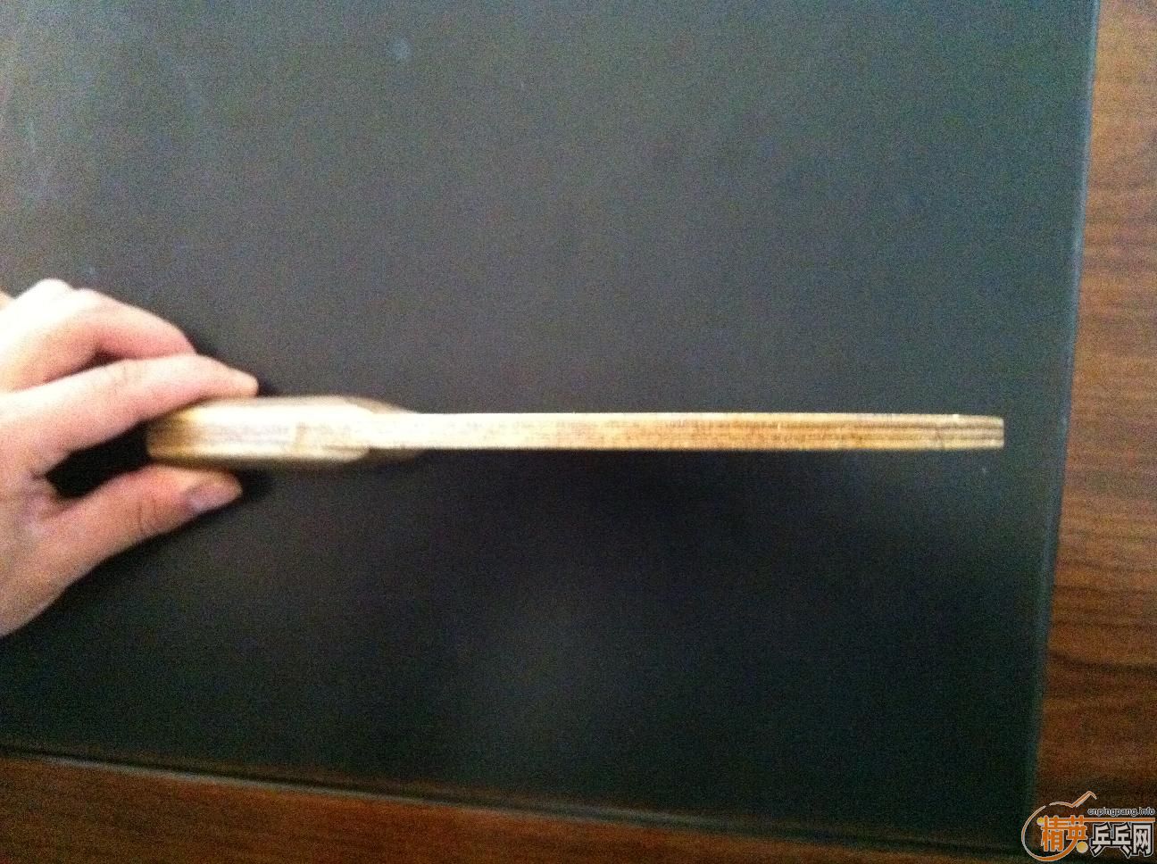 [ԭ��]��С��һֻ������