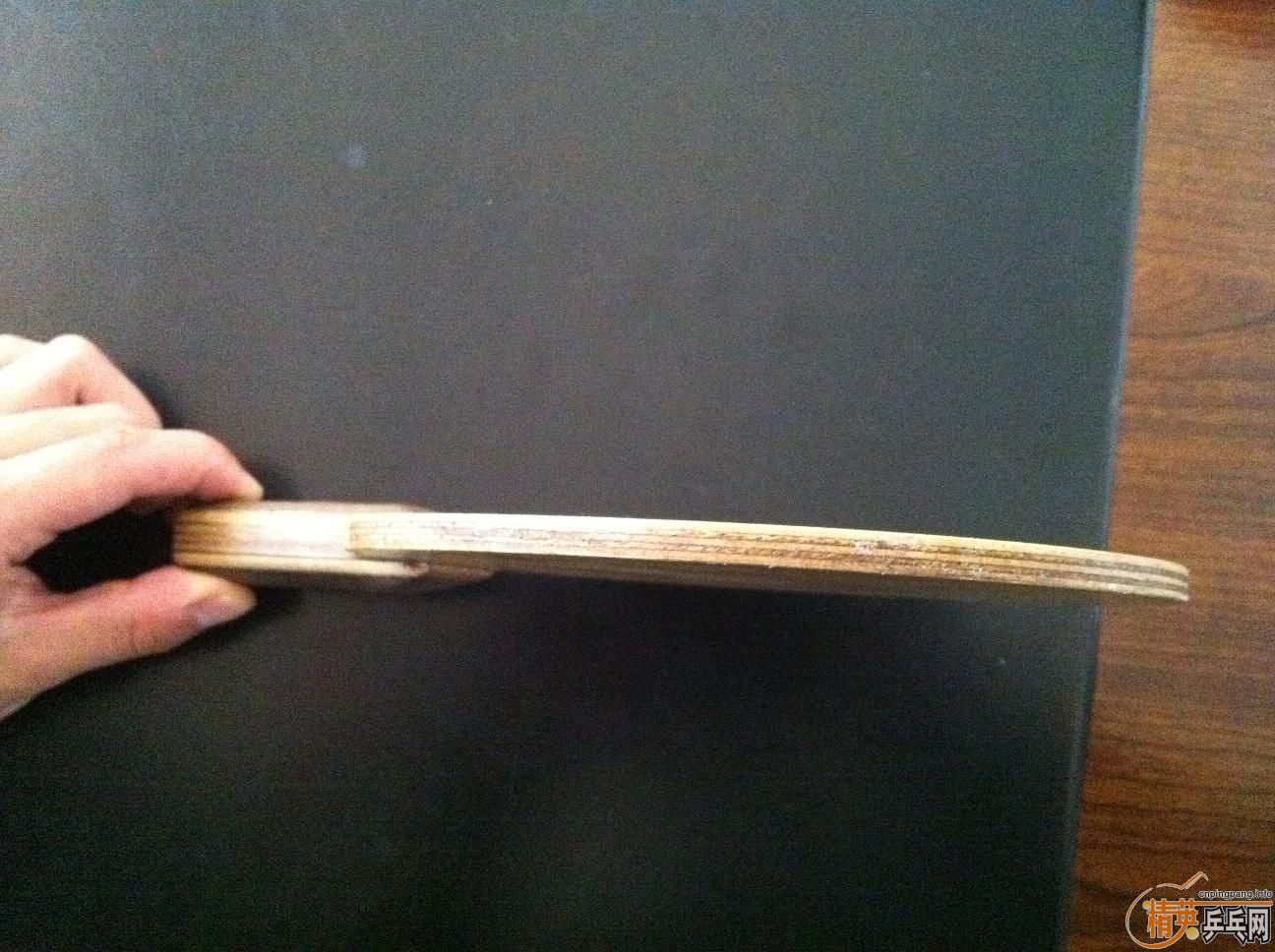 [ԭ��]��С��һֻ������