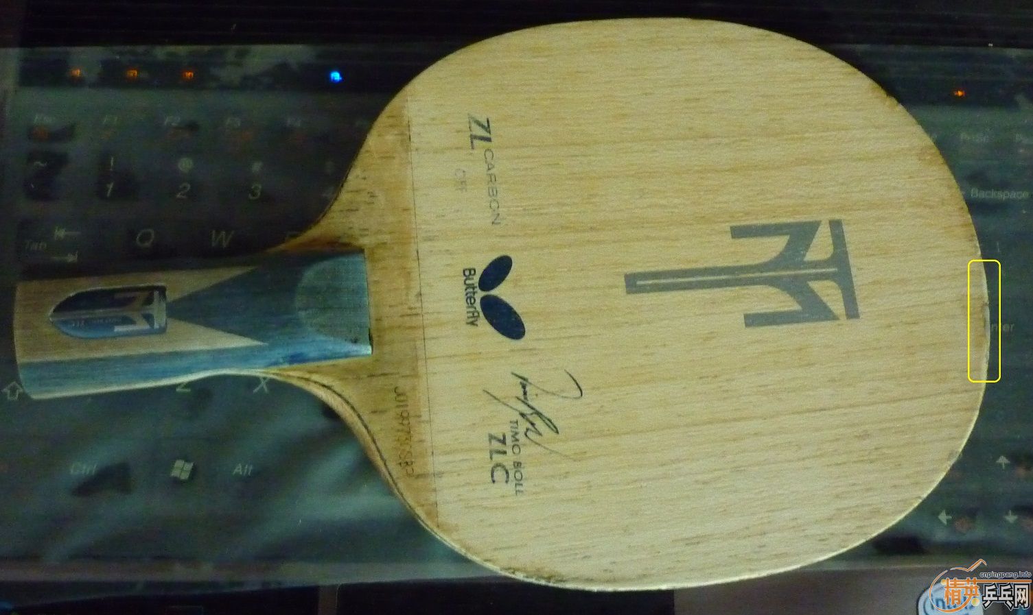 �����µİ��ӣ������õ�boll zlc-csֱ�壬֧��������