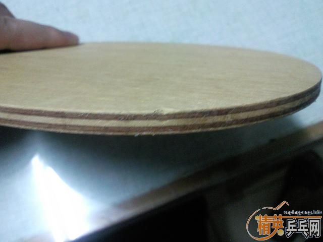 ===��һֻ���µ�С����������רҵ��====