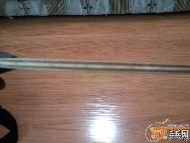 ===��һֻ���µ�С����������רҵ��====