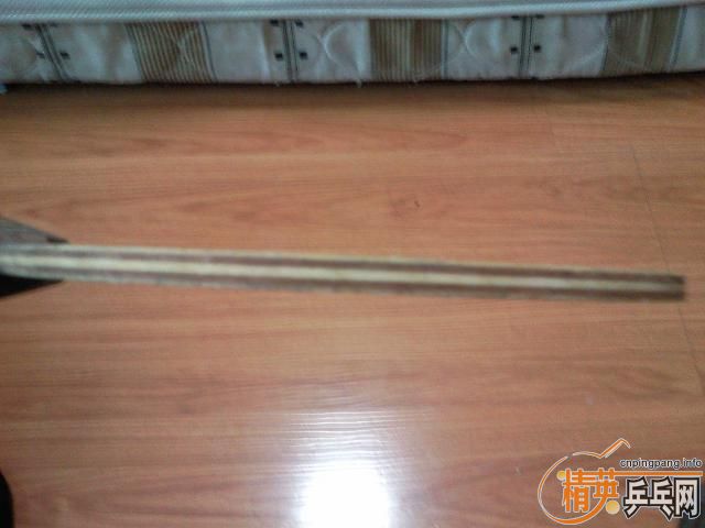 ===��һֻ���µ�С����������רҵ��====