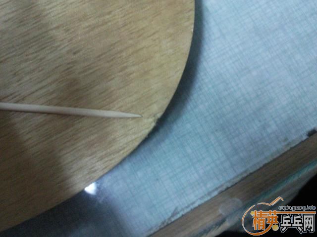 ===��һֻ���µ�С����������רҵ��====