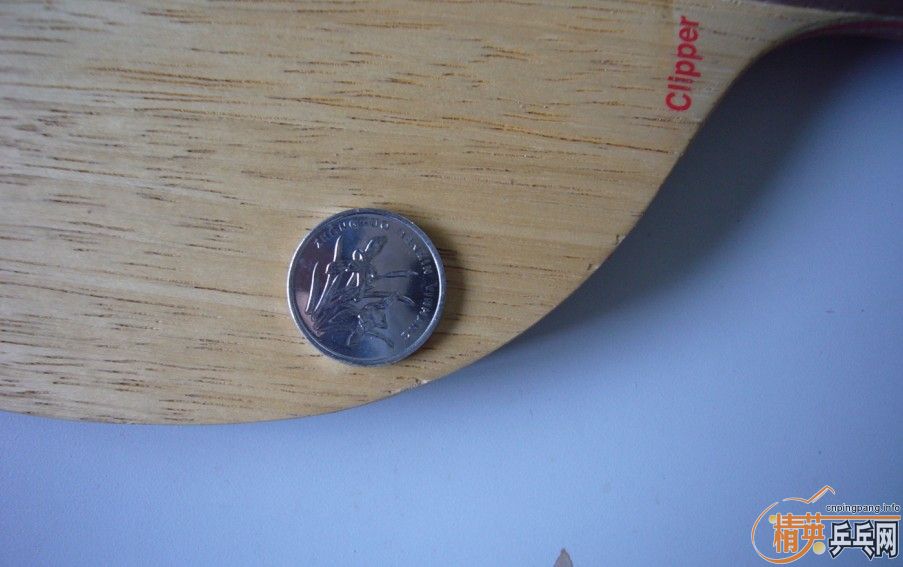 ===��һֻ���µ�С����������רҵ��====