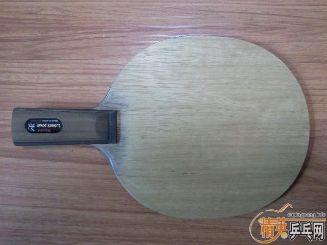 ===��һֻ���µ�С����������רҵ��====