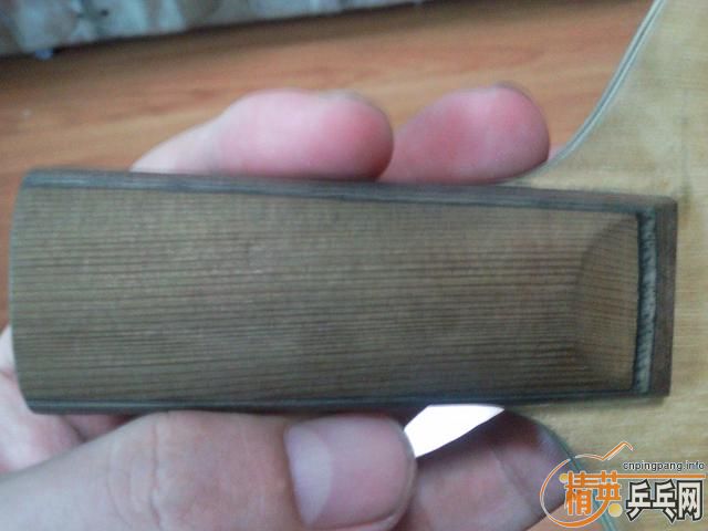 ===��һֻ���µ�С����������רҵ��====