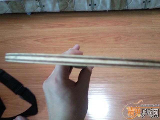 ===��һֻ���µ�С����������רҵ��====