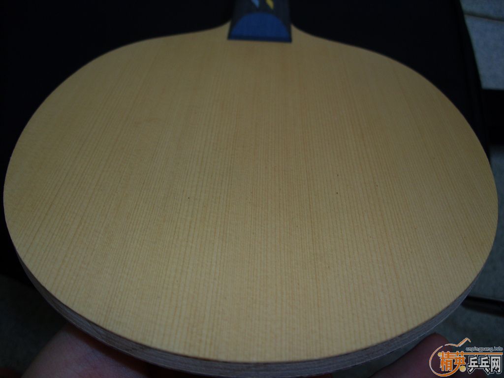 ��TSP DRIVE F1 ST