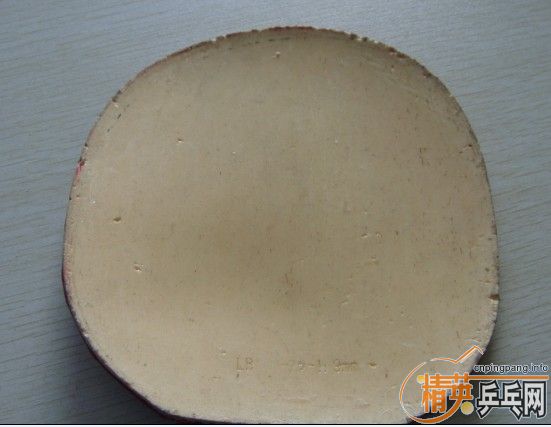 ��֧��������T64��flextra1.9��07�տ�NEO��3��palio