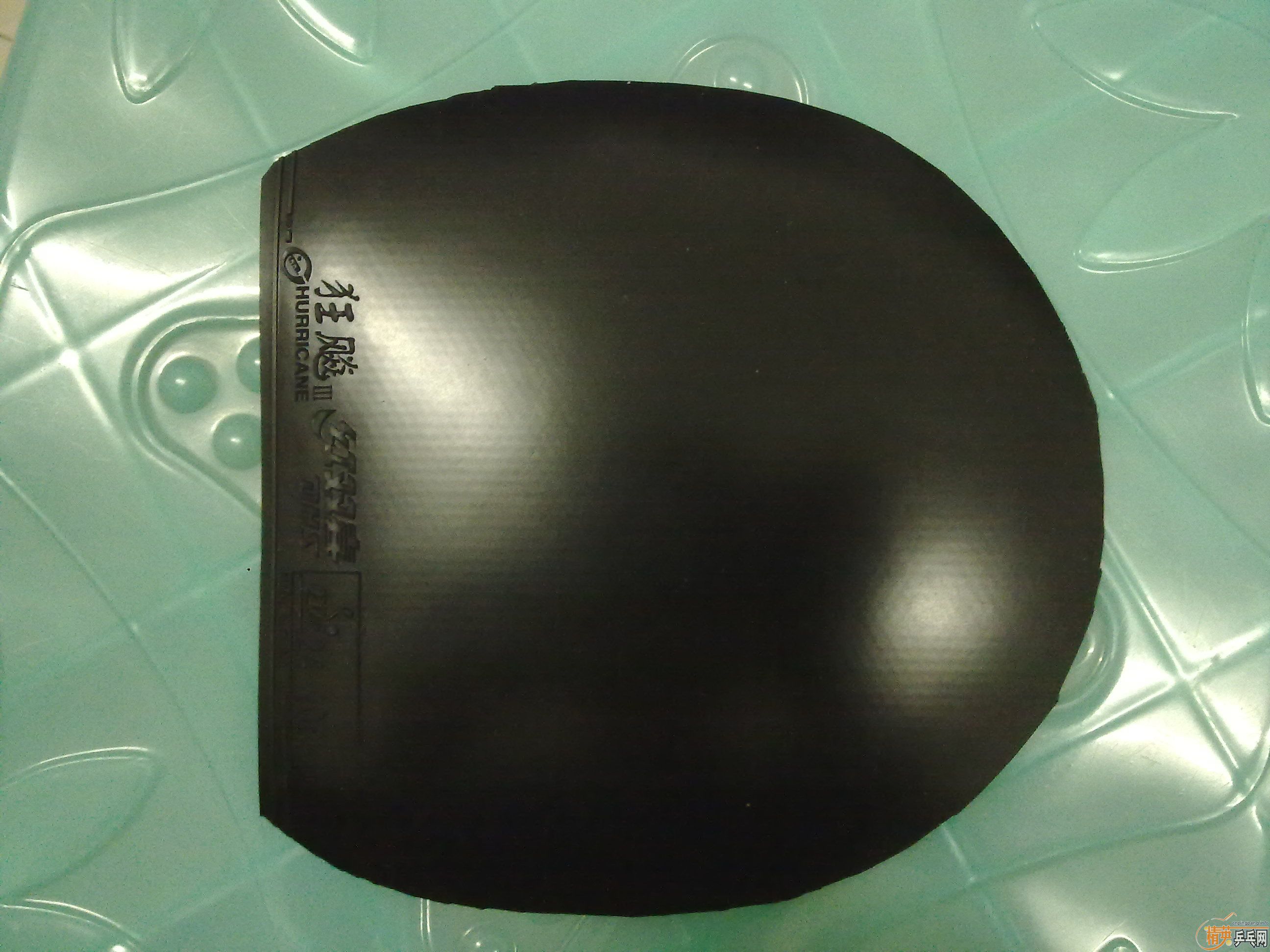 ������OC��