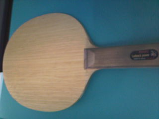 ���������ִ���רҵ�� ST  9.5�£�540���ʡ�