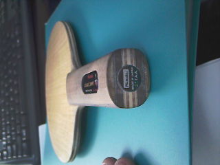 ���������ִ���רҵ�� ST  9.5�£�540���ʡ�