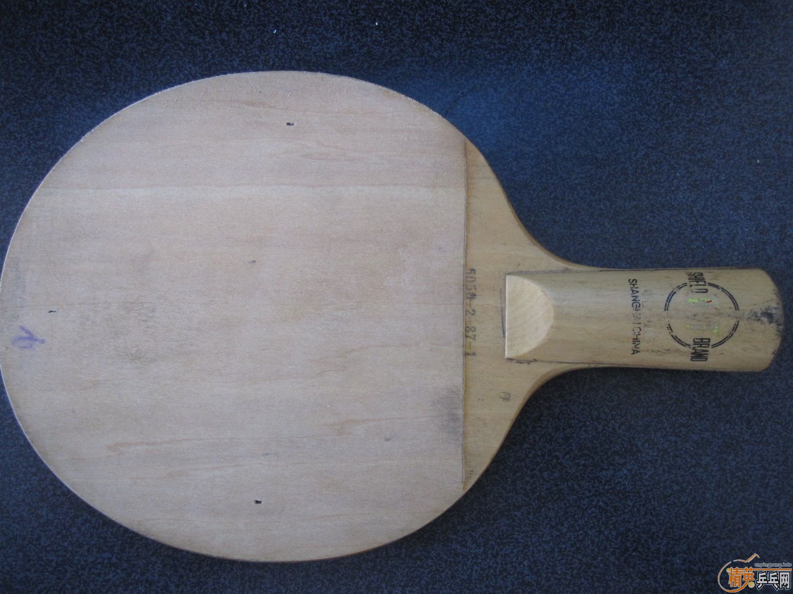 ��һֻ��������