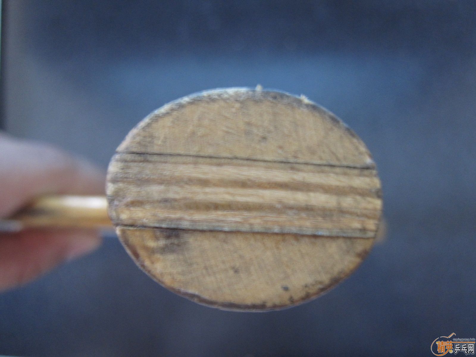 ��һֻ��������