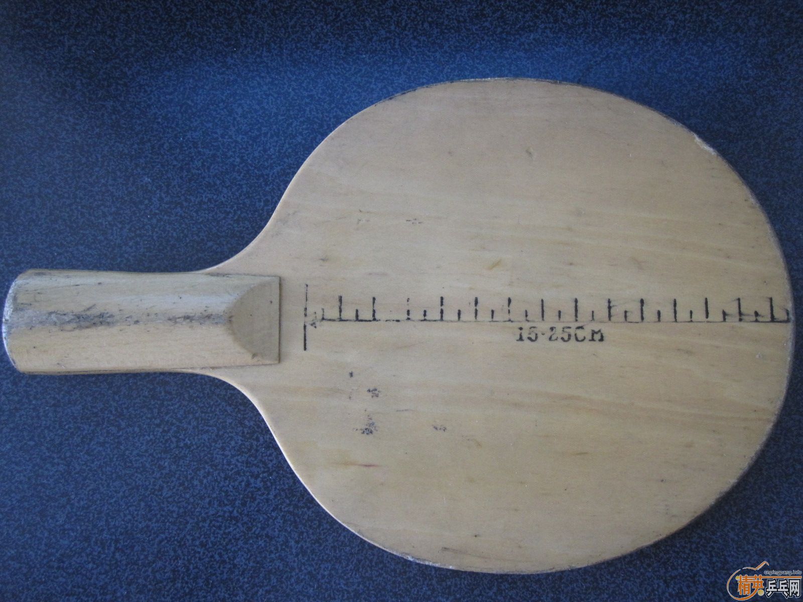 ��һֻ��������