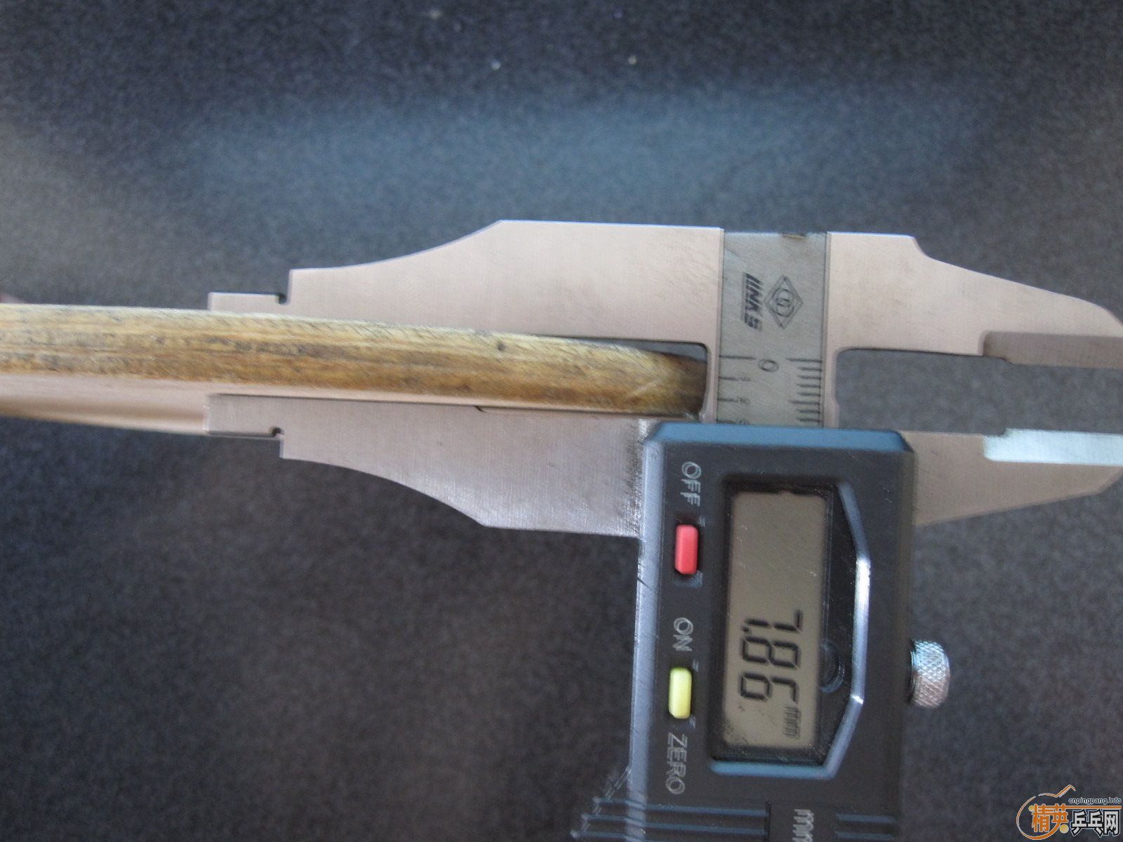 ��һֻ��������