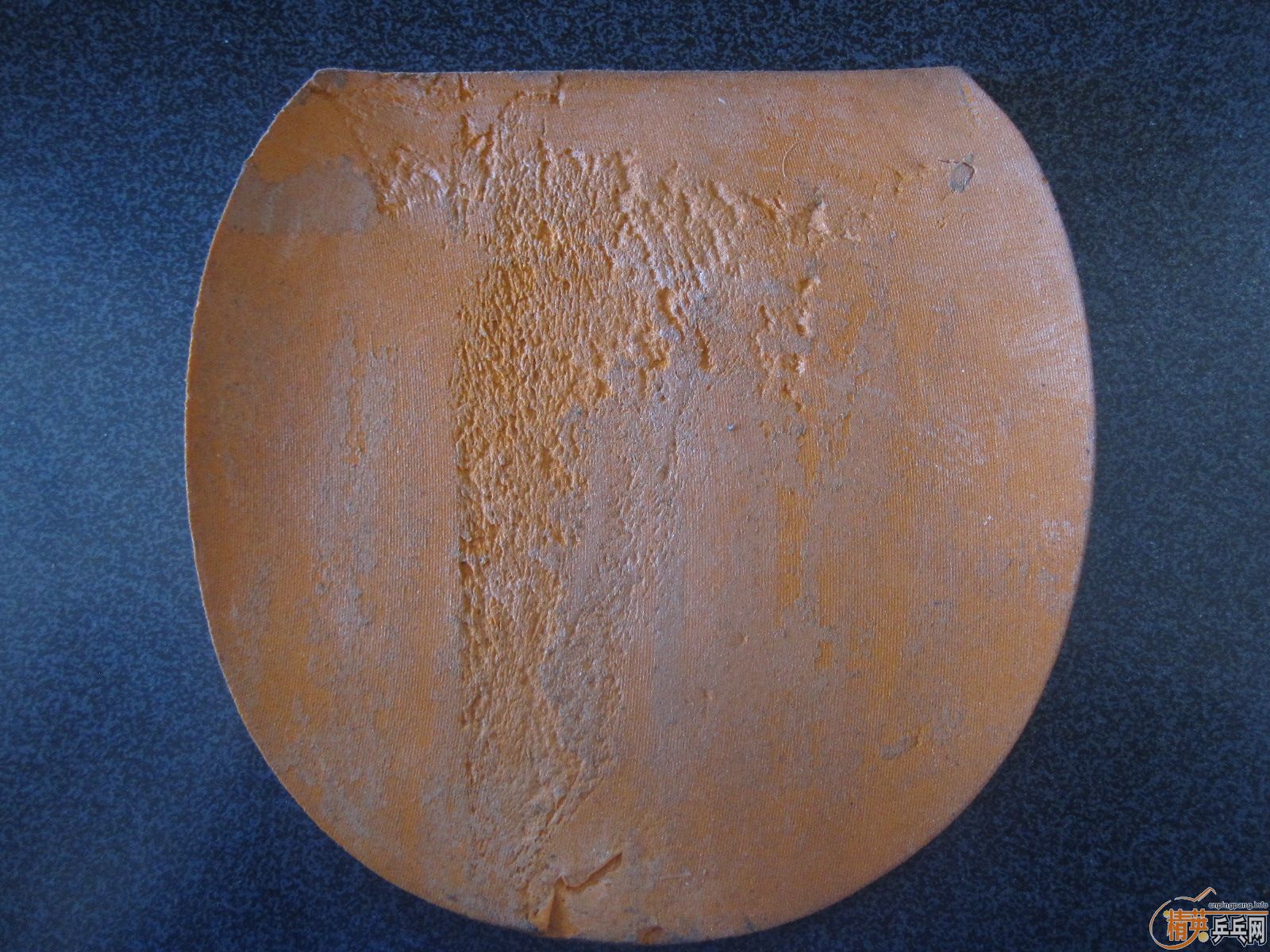 ��һֻ��������