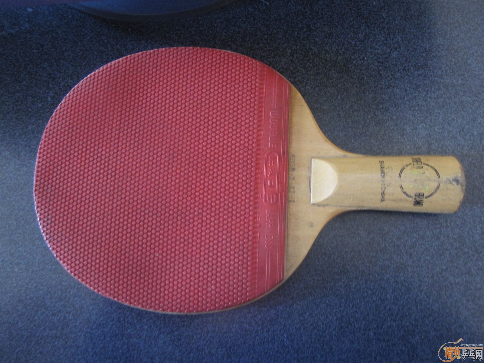 ��һֻ��������