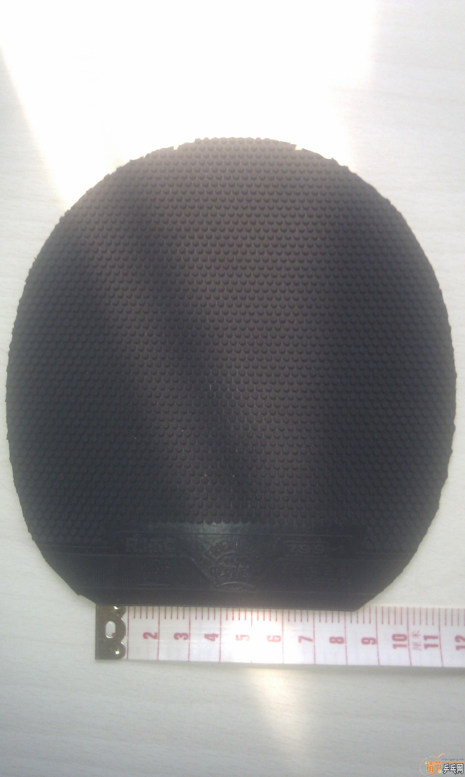 �������ɫ����������