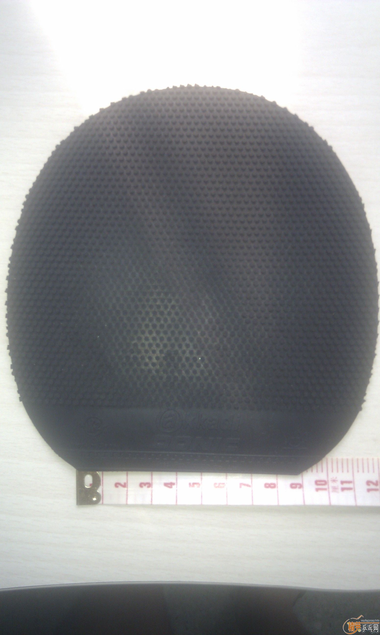 �������ɫ����������