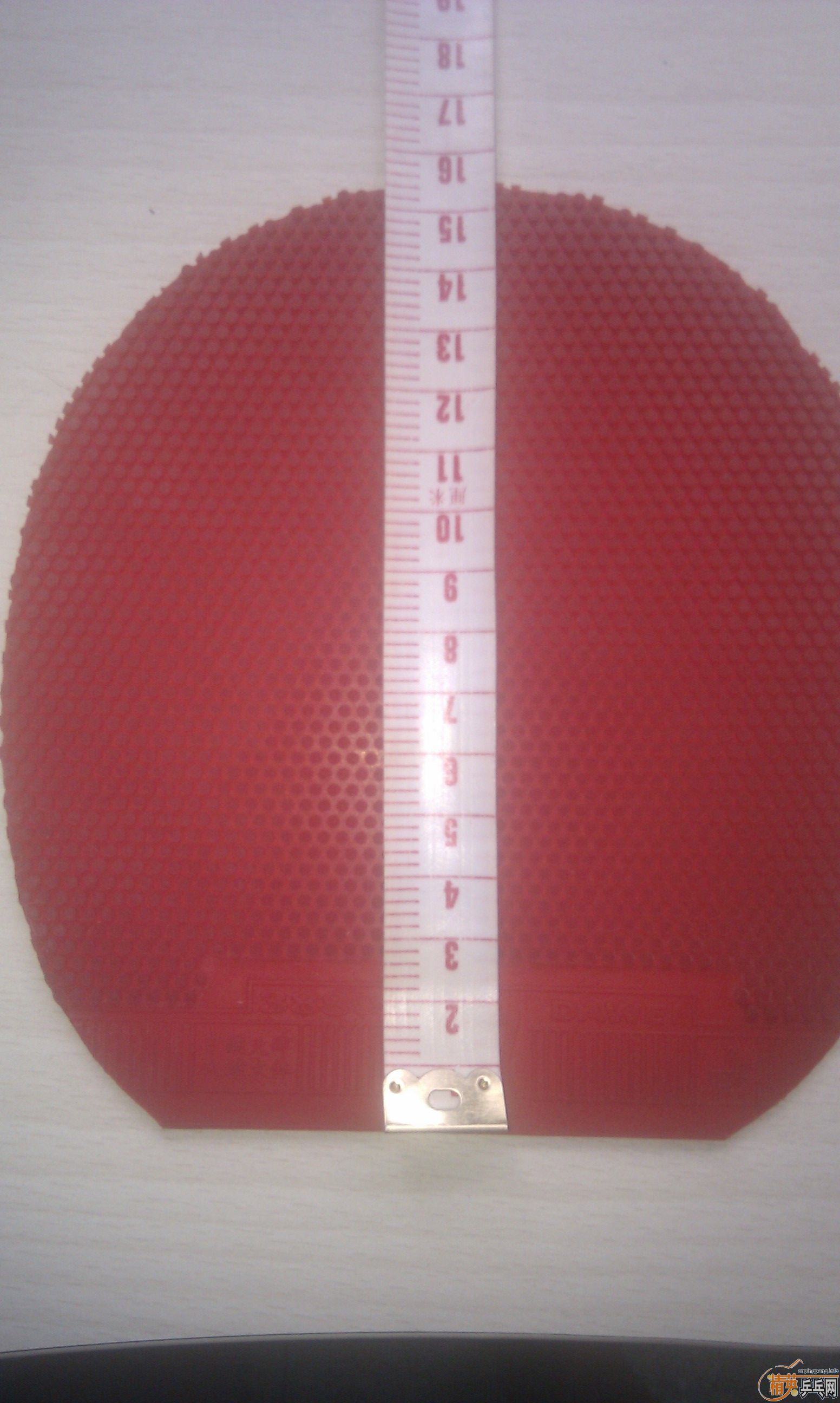 �������ɫ����������