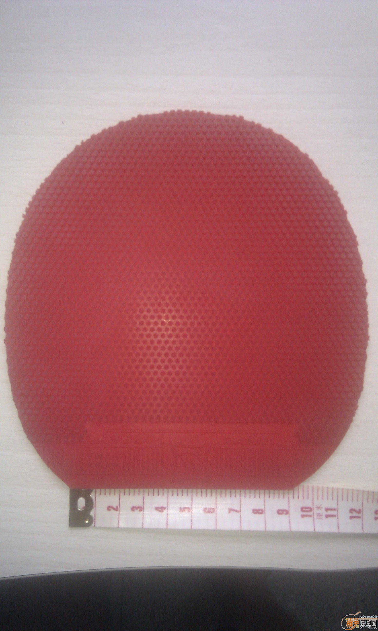 �������ɫ����������