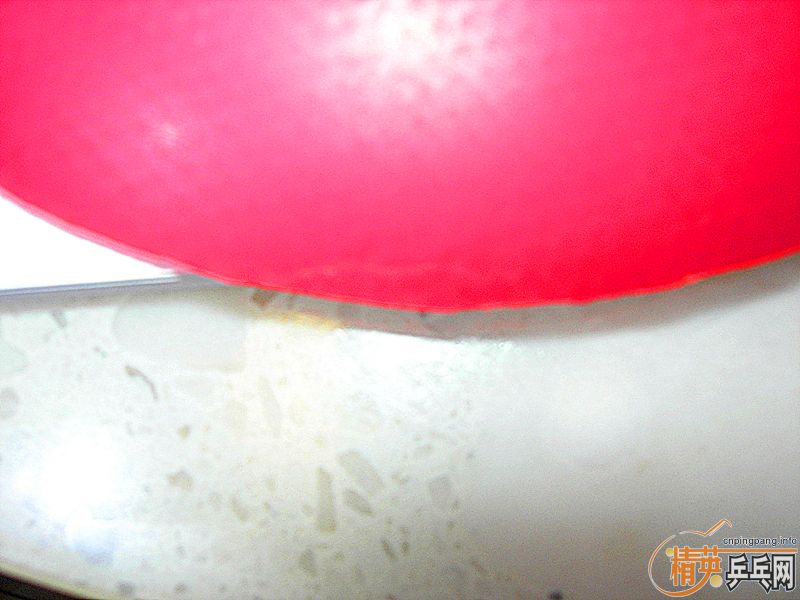 �ذ�����֮�����������׽� STIGA CALIBRA LT