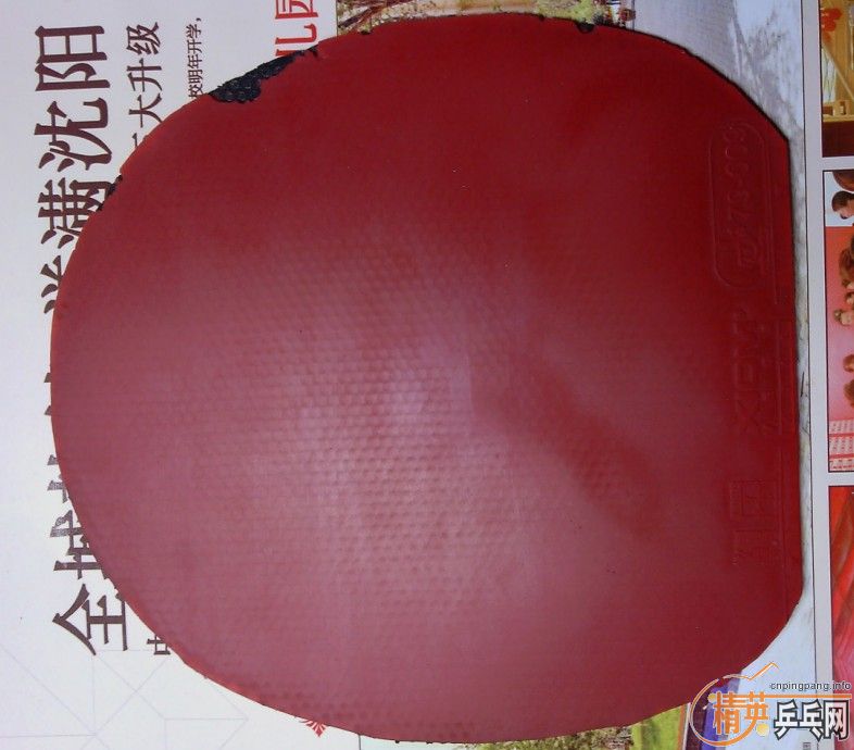 XIOMΨ���ٶ��׽�And��˫ϲC7�г���