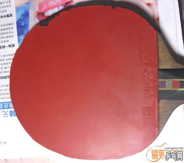 XIOMΨ���ٶ��׽�And��˫ϲC7�г���