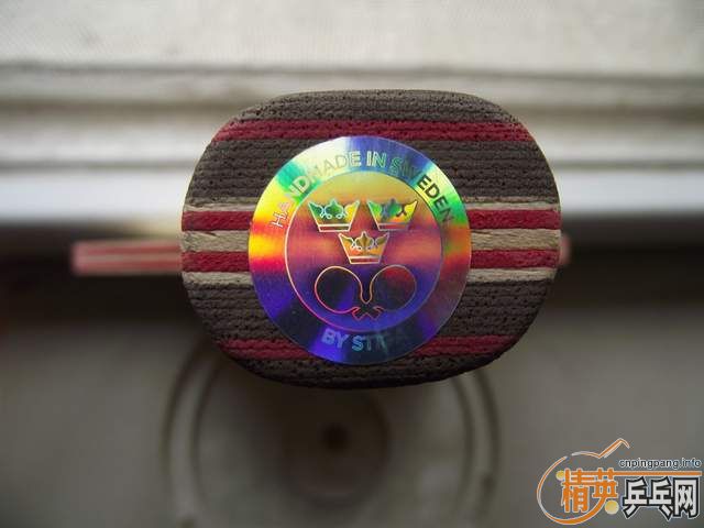 ��һ���ѳ�ֻ���˼���� STIGA CR