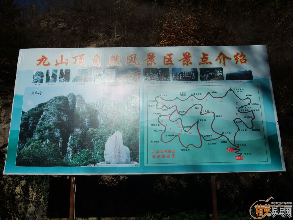 2011ֲСֶӼΣͼƬ