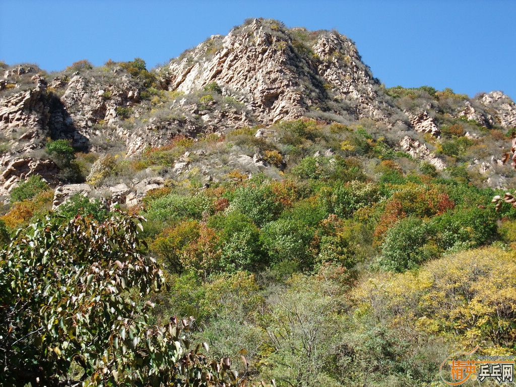2011ֲСֶӼΣͼƬ