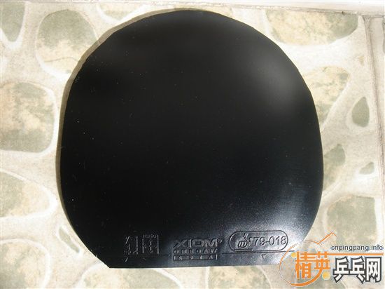 T05 ŷ����4���240����~~~~~~~~~~