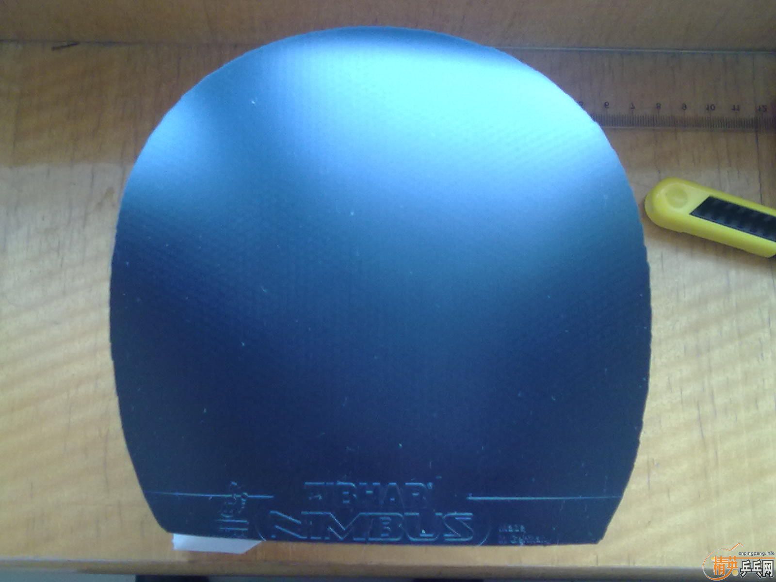 ֧������99�°�����NIMBUS VIP��ķ��ŵ���� �޻������׽�