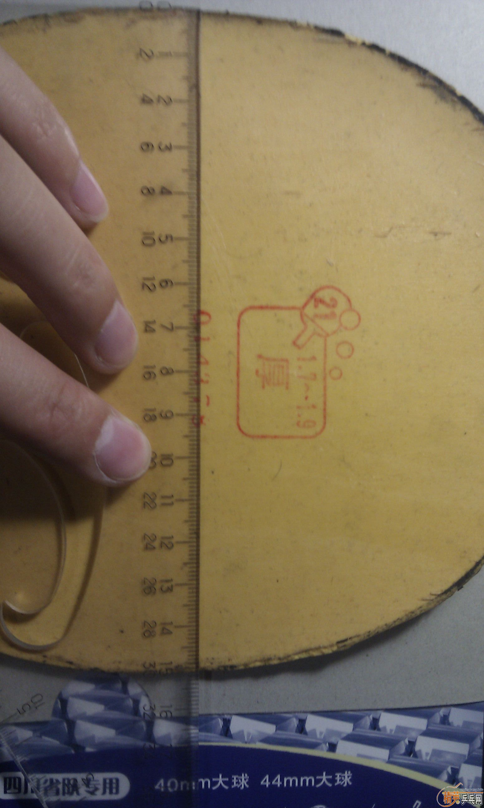 �����ۡ�����TSP������˳��һ˫��Ҷ�ݣ���֧��������