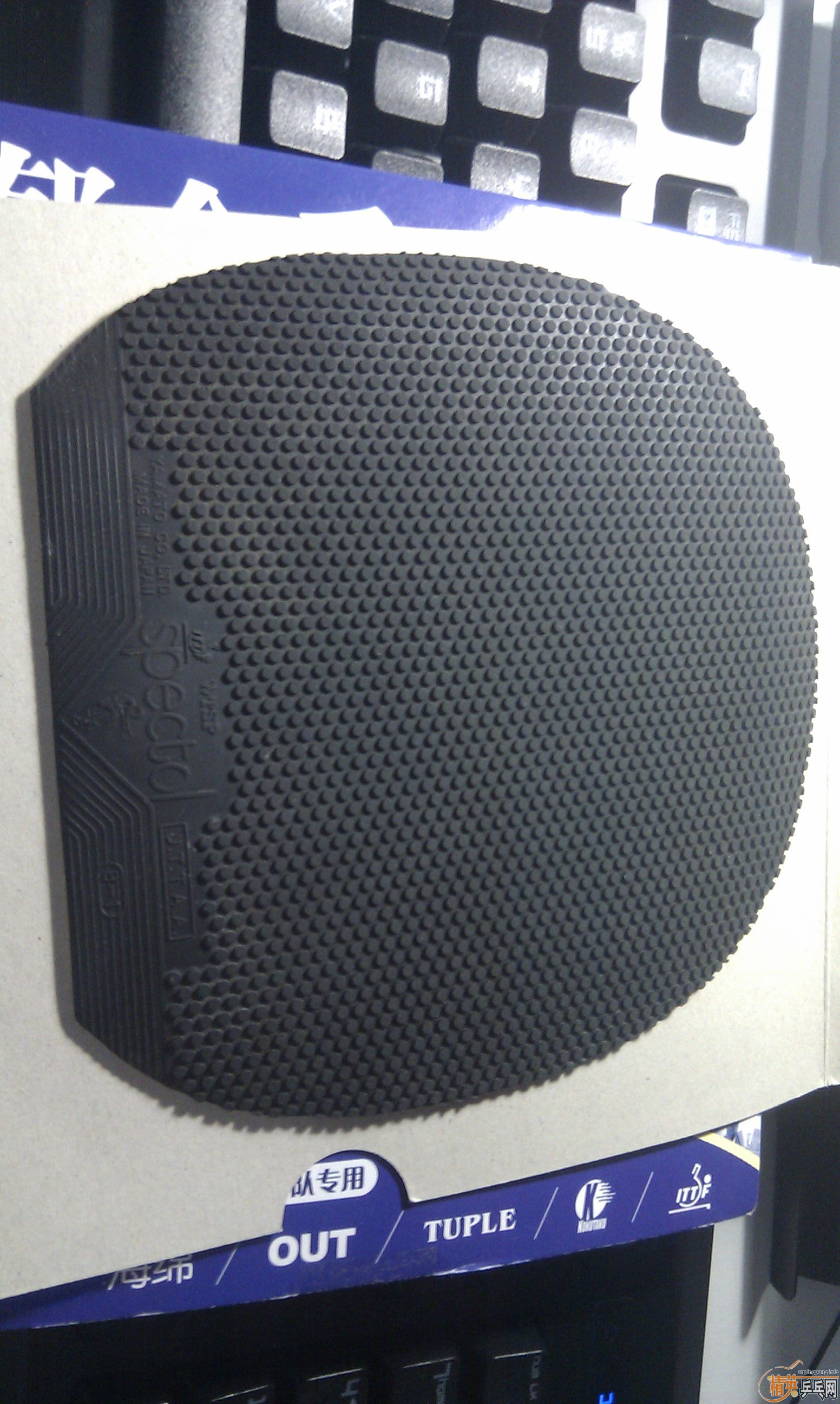 �����ۡ�����TSP������˳��һ˫��Ҷ�ݣ���֧��������