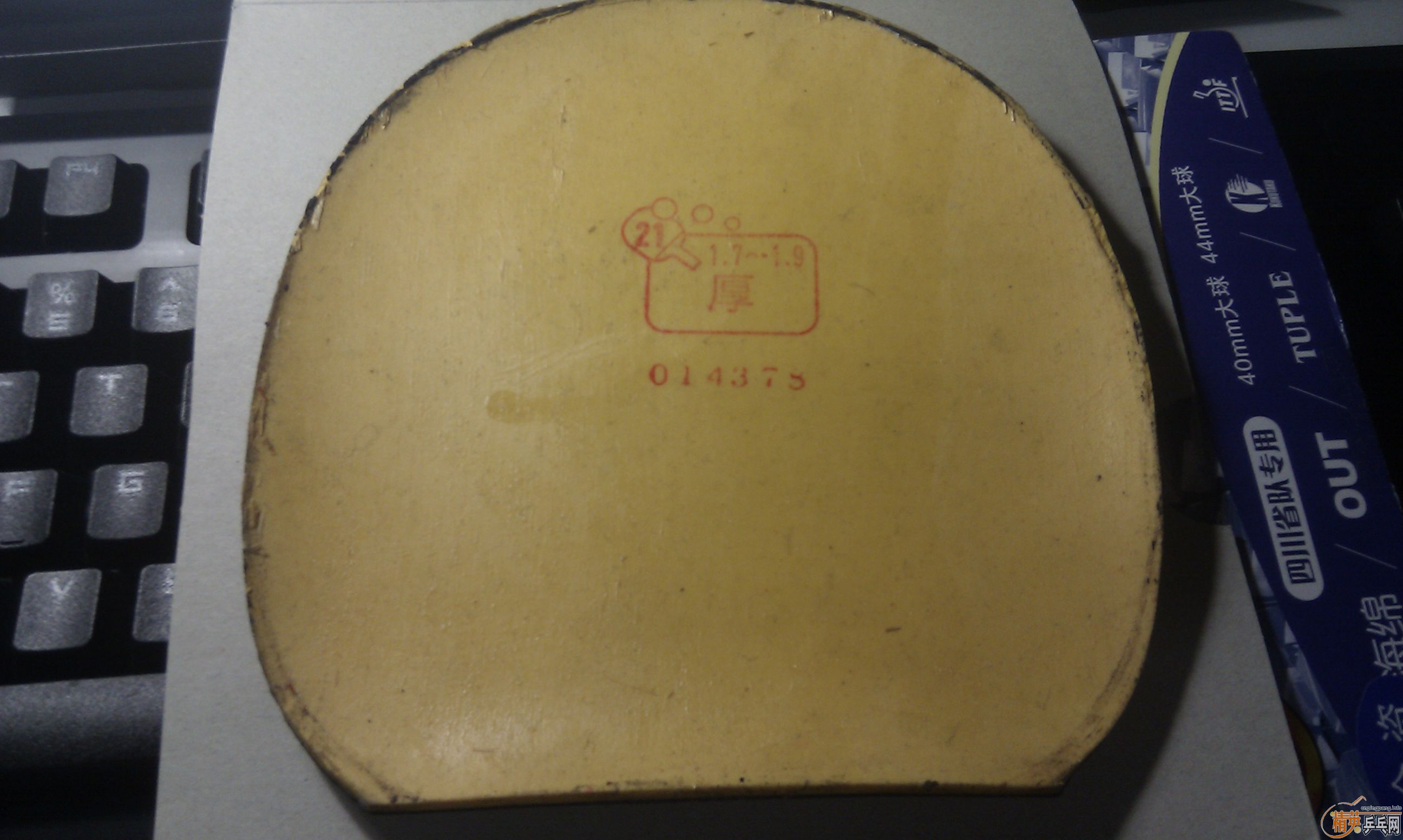 �����ۡ�����TSP������˳��һ˫��Ҷ�ݣ���֧��������