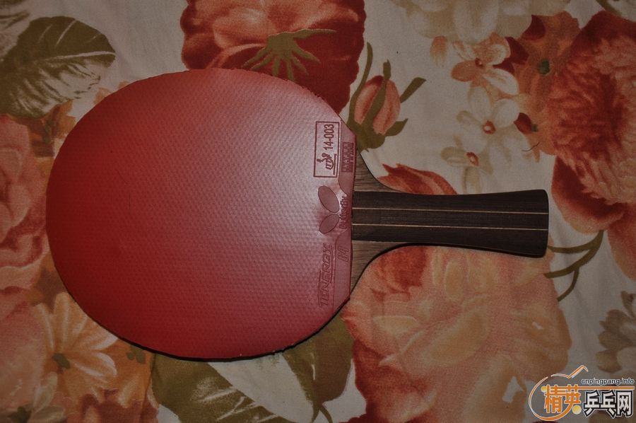 ˹ٿǿ̼ؼ³ɫT05+T64