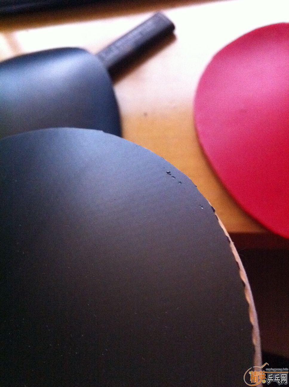 ���ۿƱ���CS������FLEXTRA`LKT�ڽ�ա��Ƚ�Ƥ