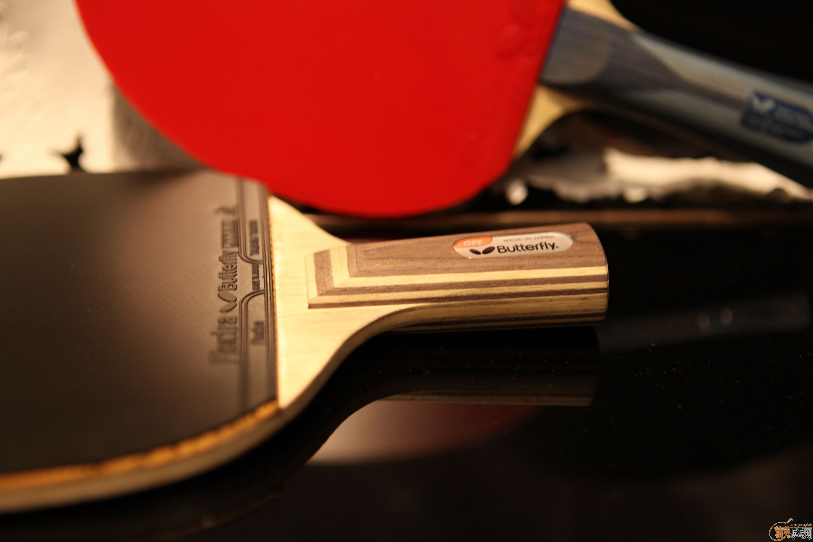 ���ۿƱ���CS������FLEXTRA`LKT�ڽ�ա��Ƚ�Ƥ��������ͼ�����ۡ�